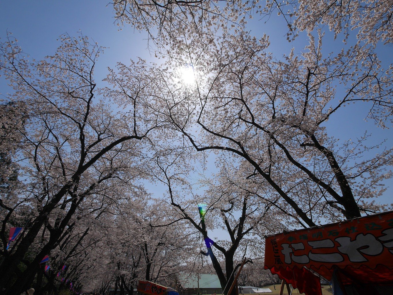 千本桜