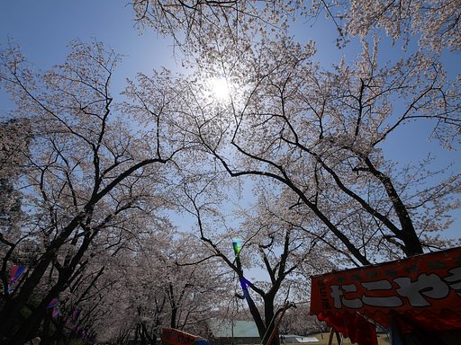 千本桜