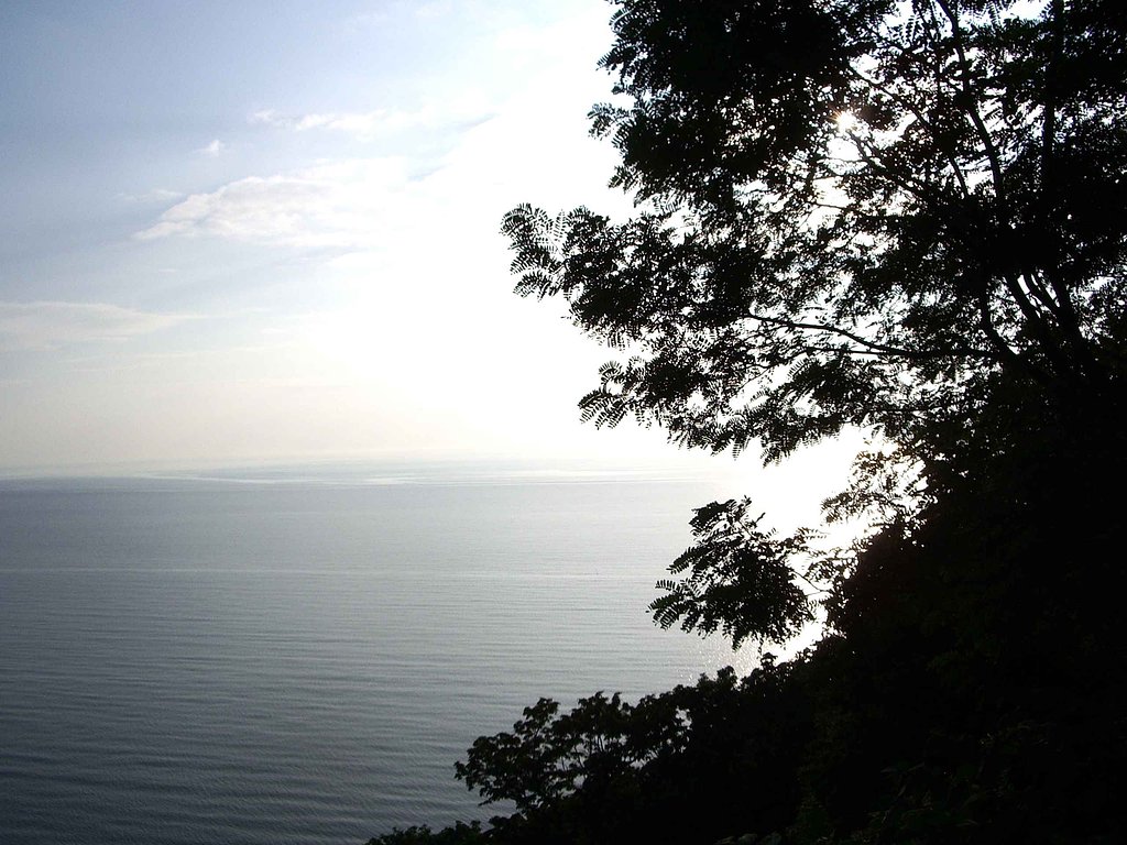【光】海