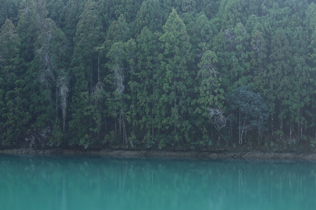 碧壁