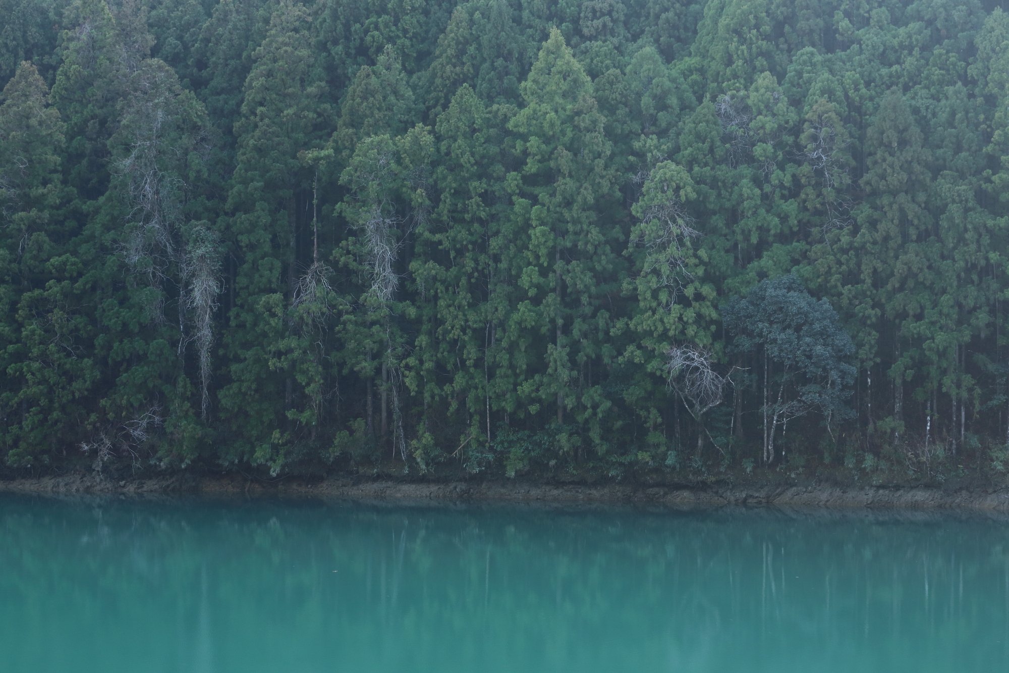 碧壁