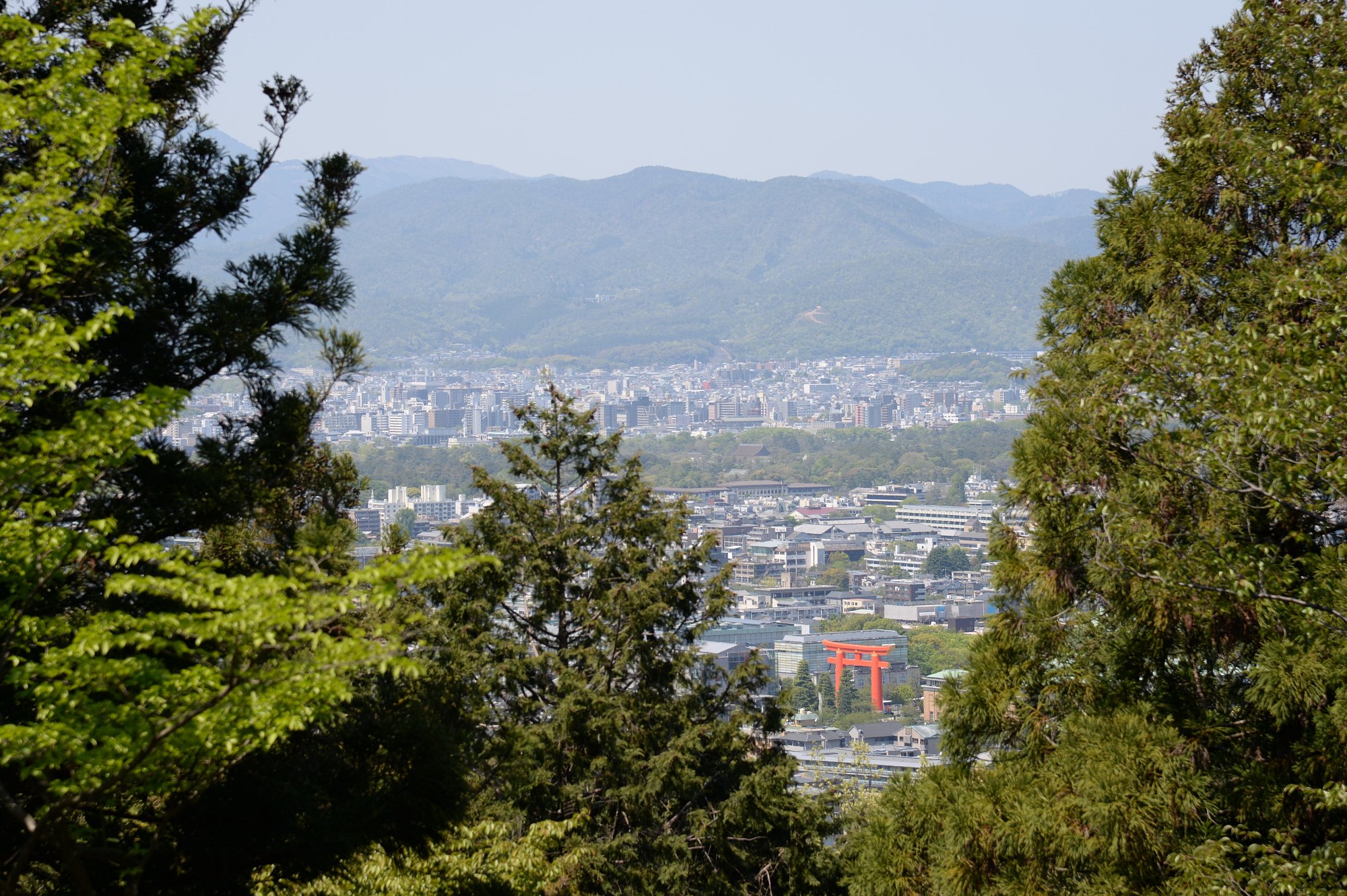 赤い鳥居