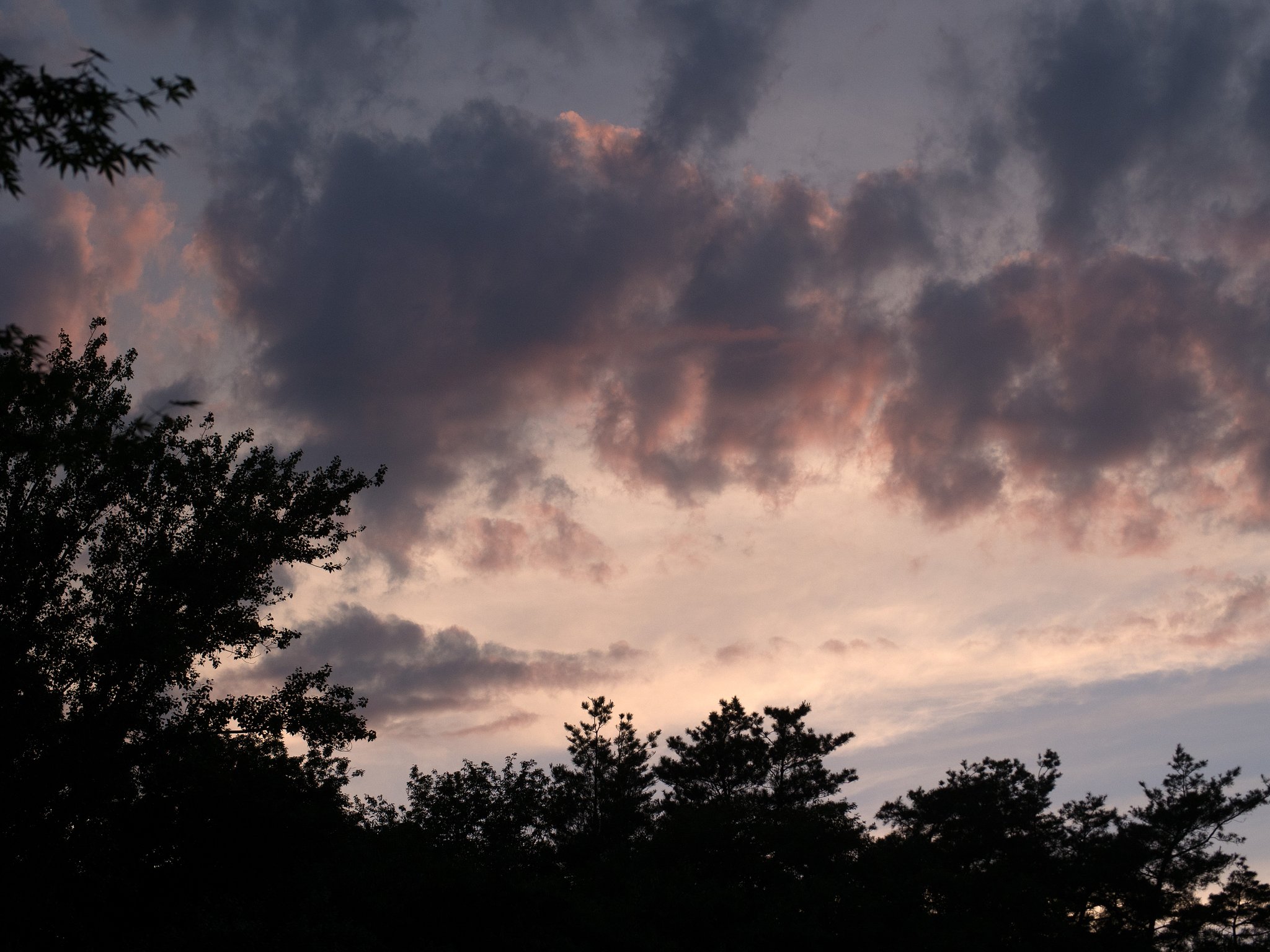 まぶたを腫らした雲