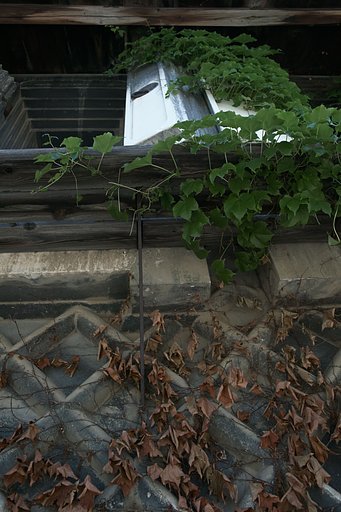 Distagon 2/28 ZF