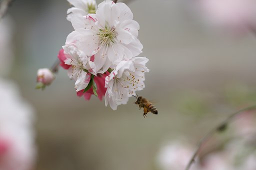 おなかすいた
