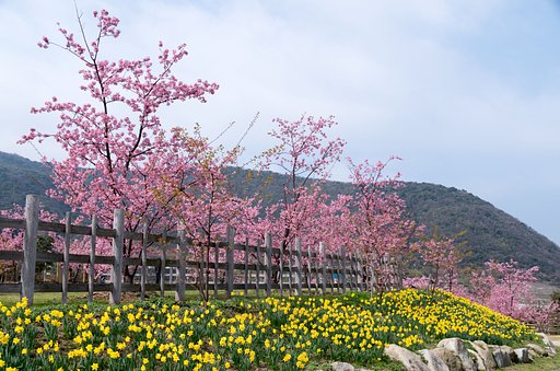 三月