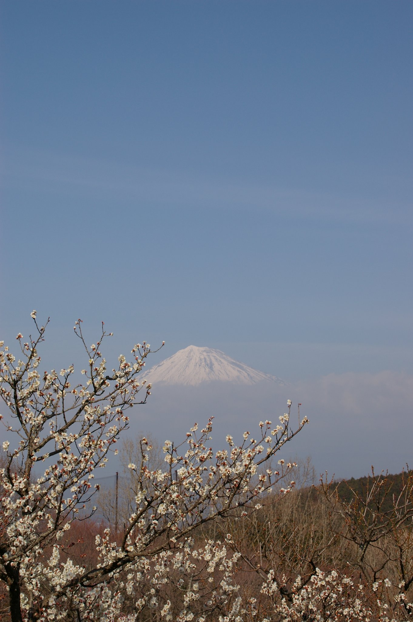 TAMRON 18-200mm F3.5-6.3