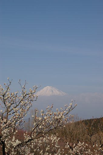 TAMRON 18-200mm F3.5-6.3