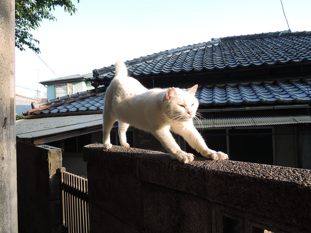 のびーー