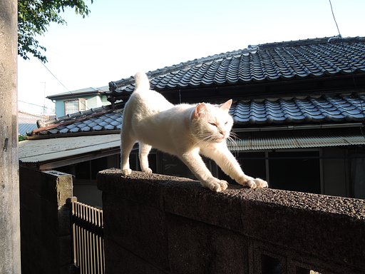 のびーー