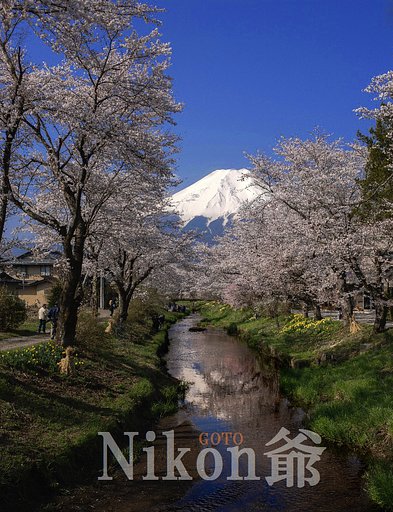 天気に恵まれ・・・