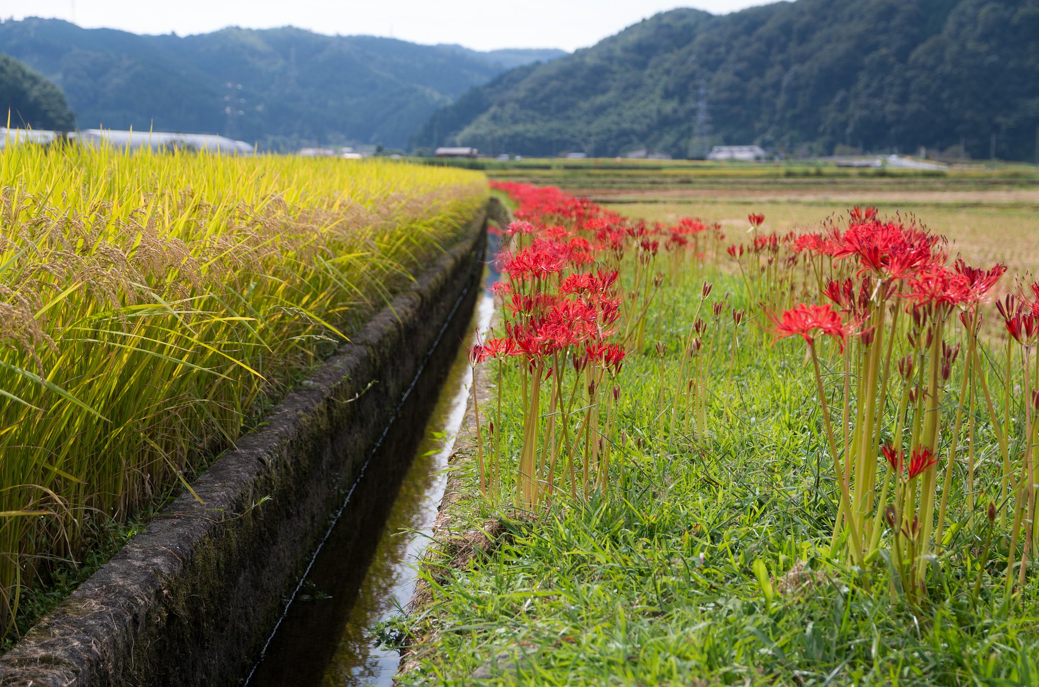 用水路