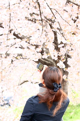 フォトコン４月の結果発表