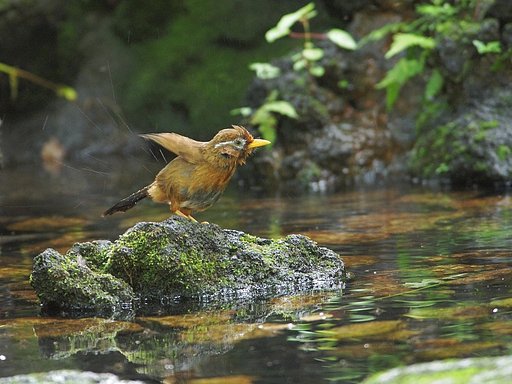 水辺のひととき