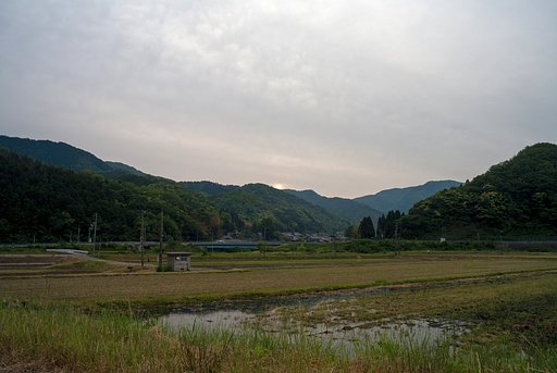 雨が降る予報に。