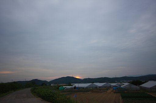 2014/05/15曇り