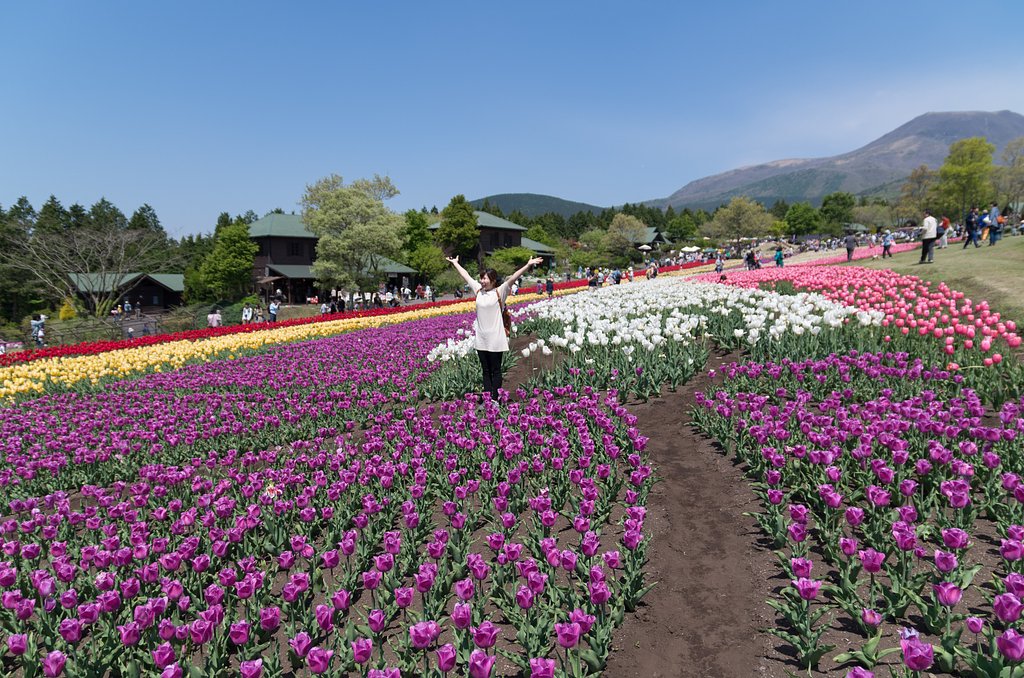 花公園