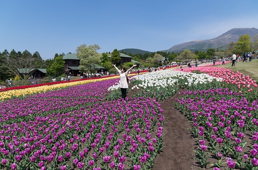 花公園