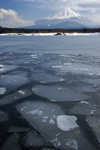 閉ざされし今年の冬