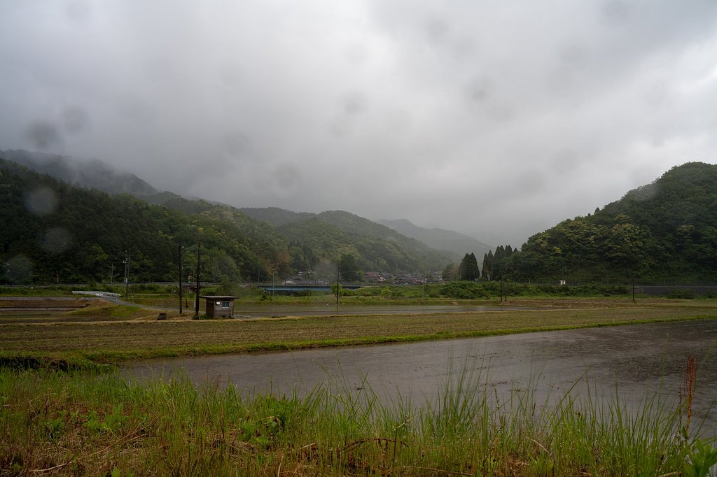 風雨の朝・・。