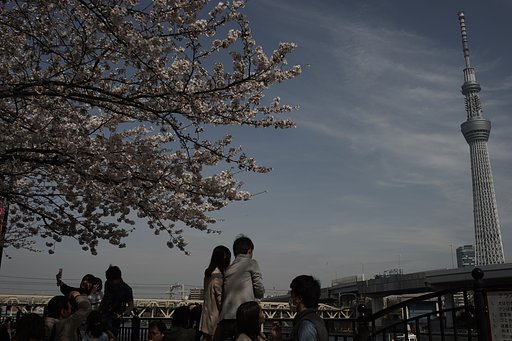 Distagon 1：4 f=35mm