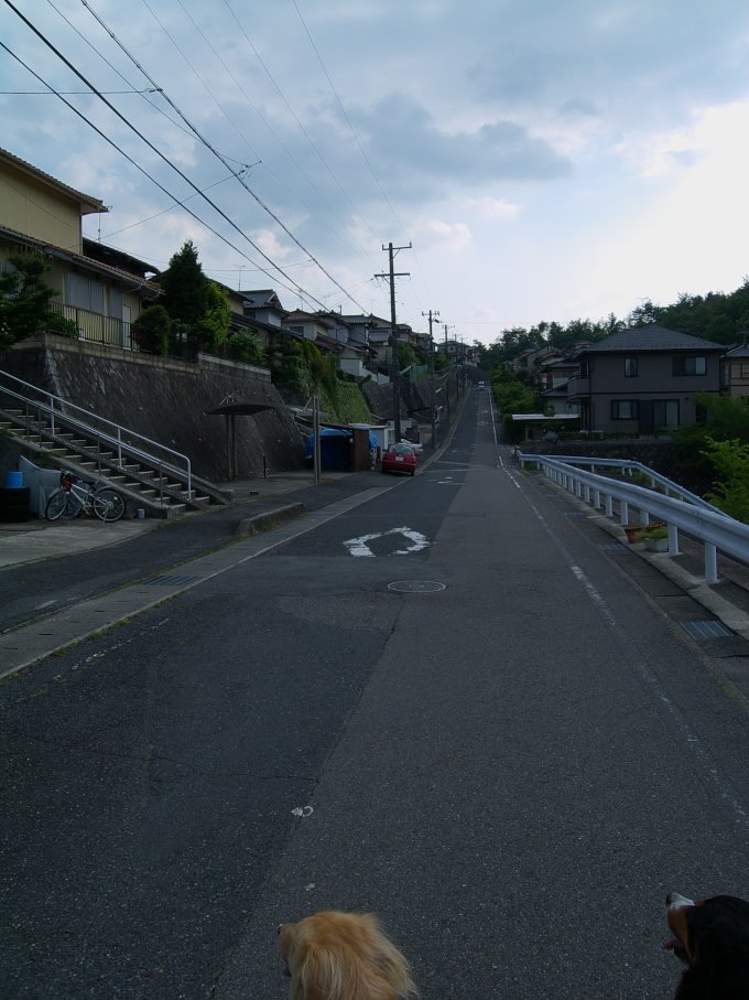 カンベンしてください。。。(>.<)