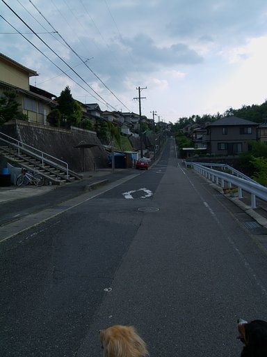 カンベンしてください。。。(>.<)