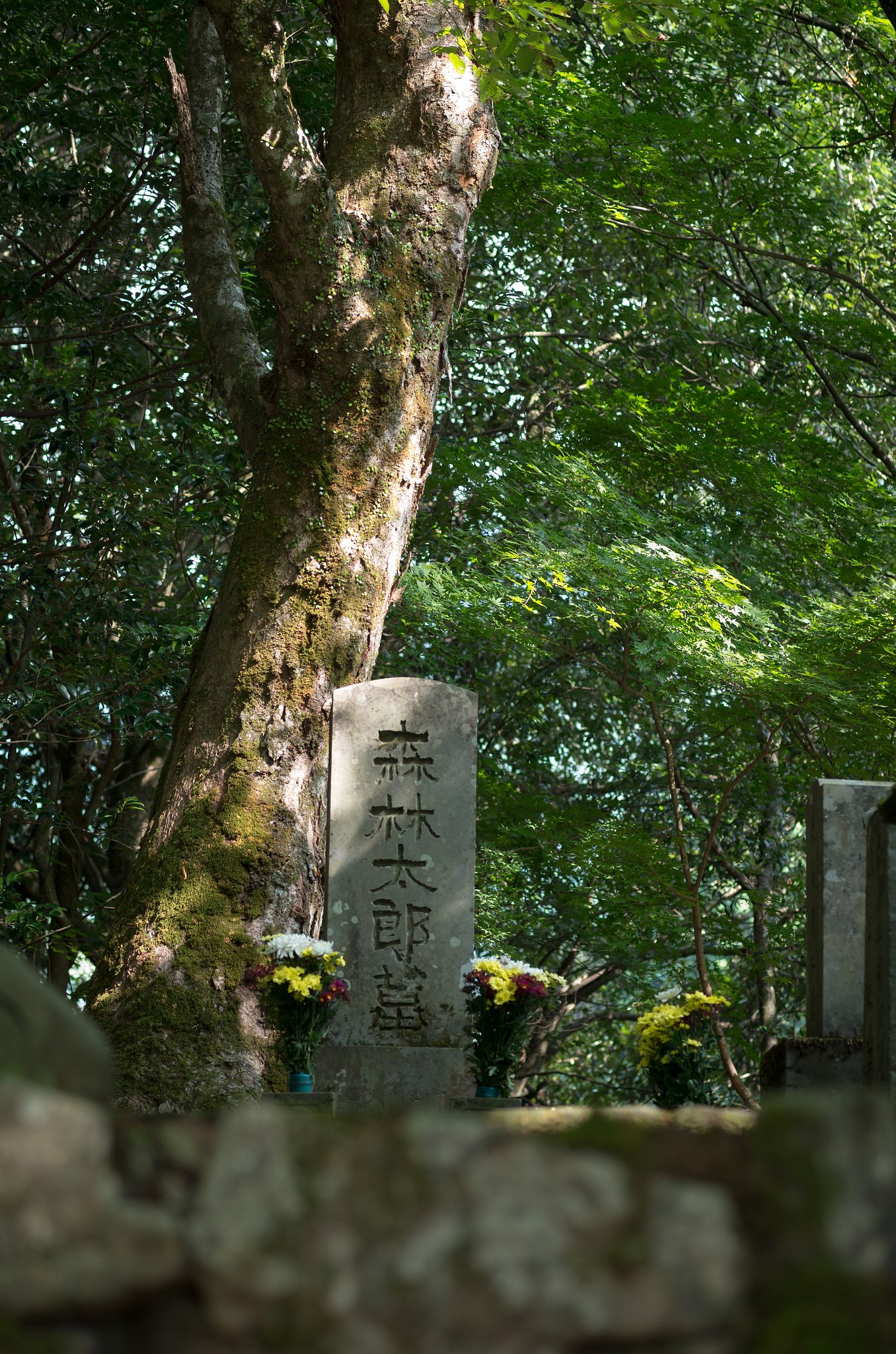 文豪