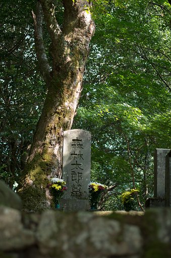 文豪