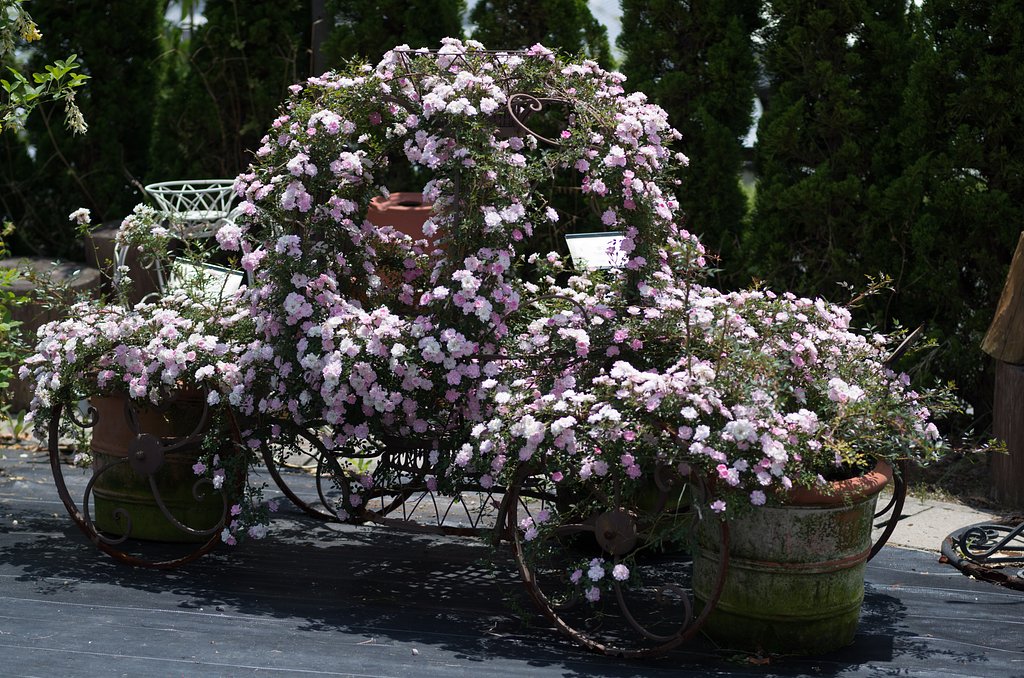 花車