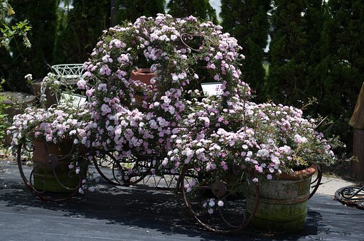 花車