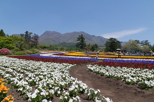 花絨毯