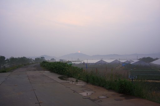 2014/05/26霧