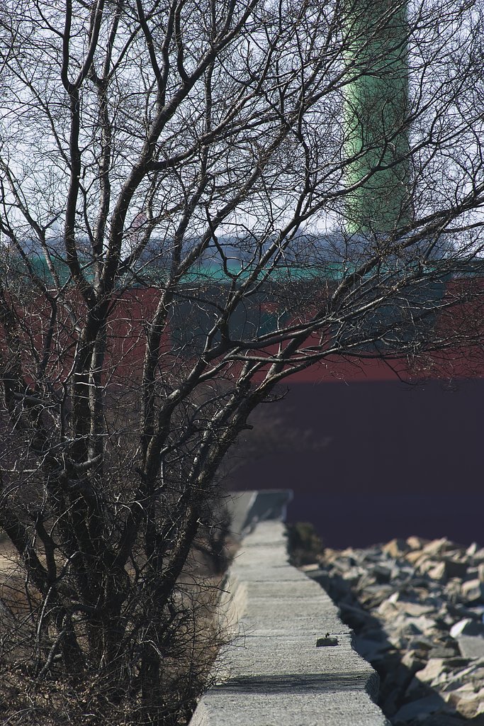二歩写真