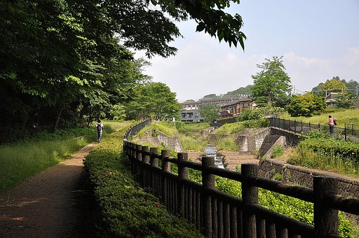川沿いの散歩道