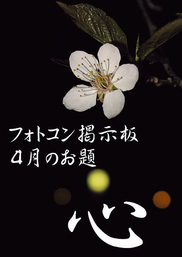 4月のお題発表