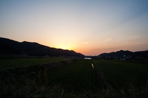 日没後の光芒！