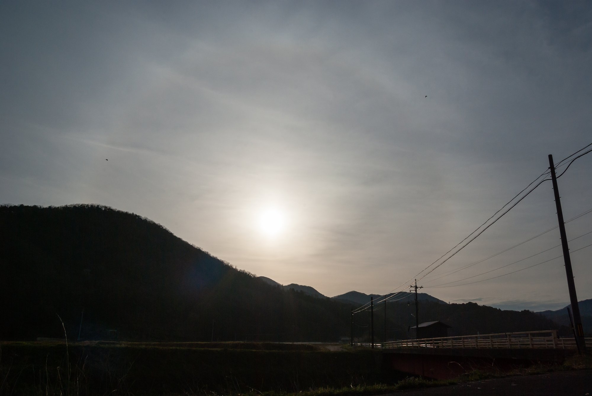太陽に傘が・・。