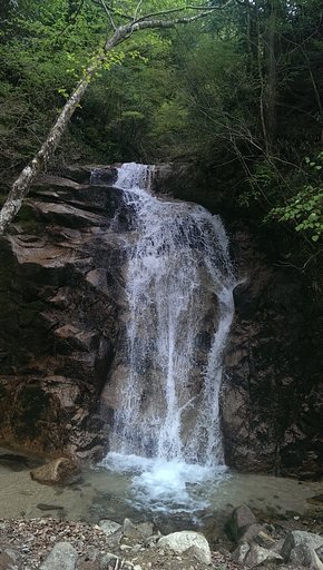 滝