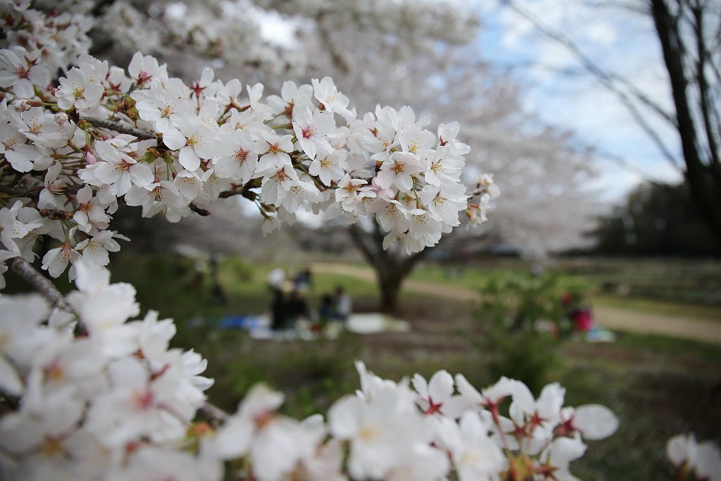 町内の公園にて