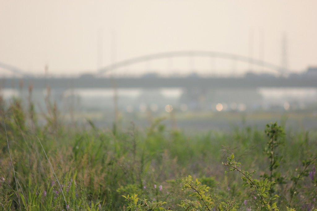 夕川原ほのか