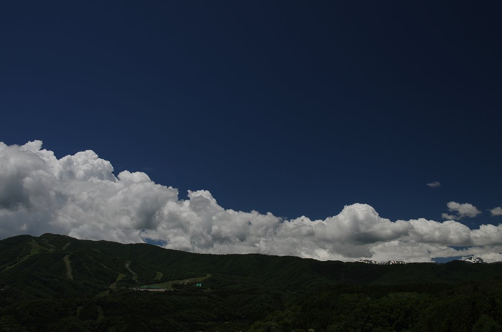 駆け抜ける・・
