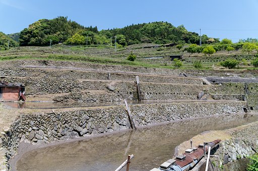 石垣