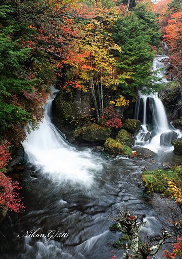 竜頭の滝　2014