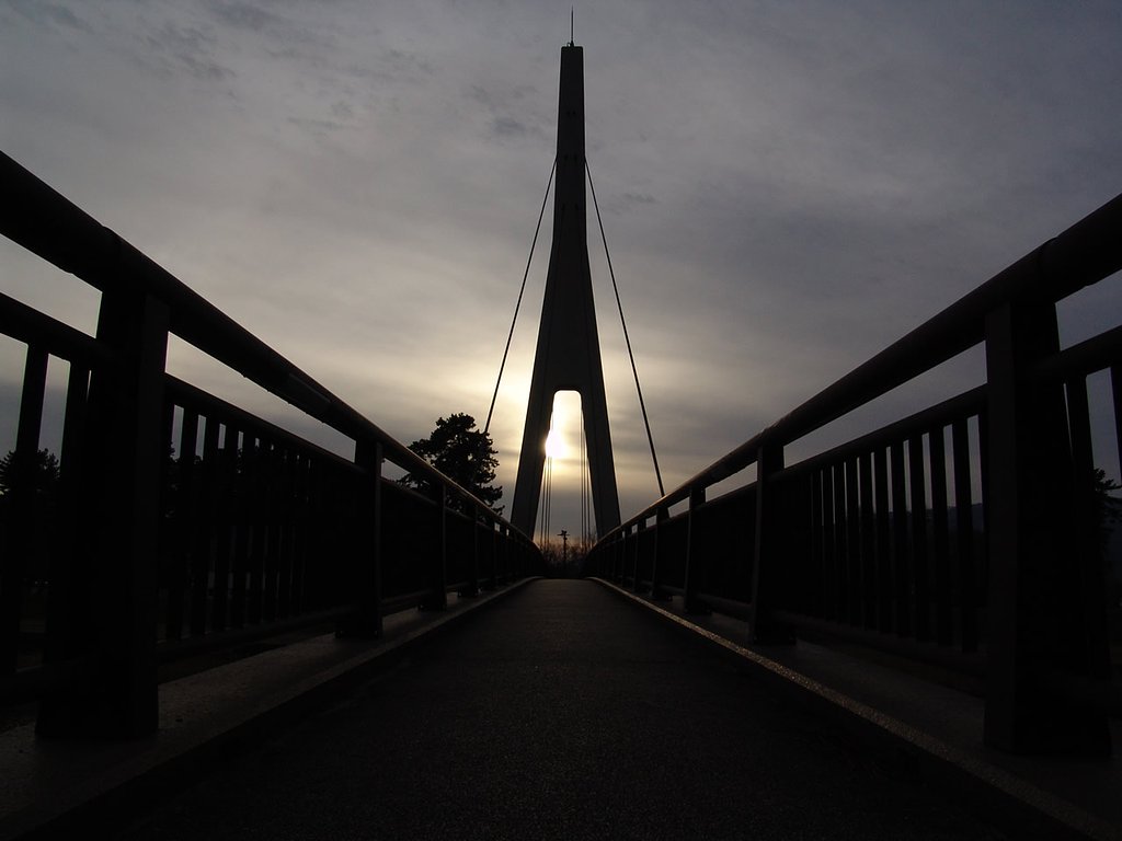 白鷺橋にて