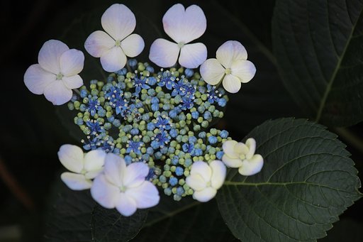 上からそっと