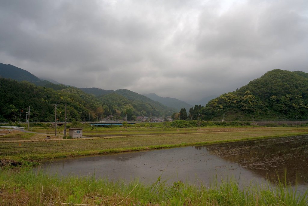 風雨の朝・・。