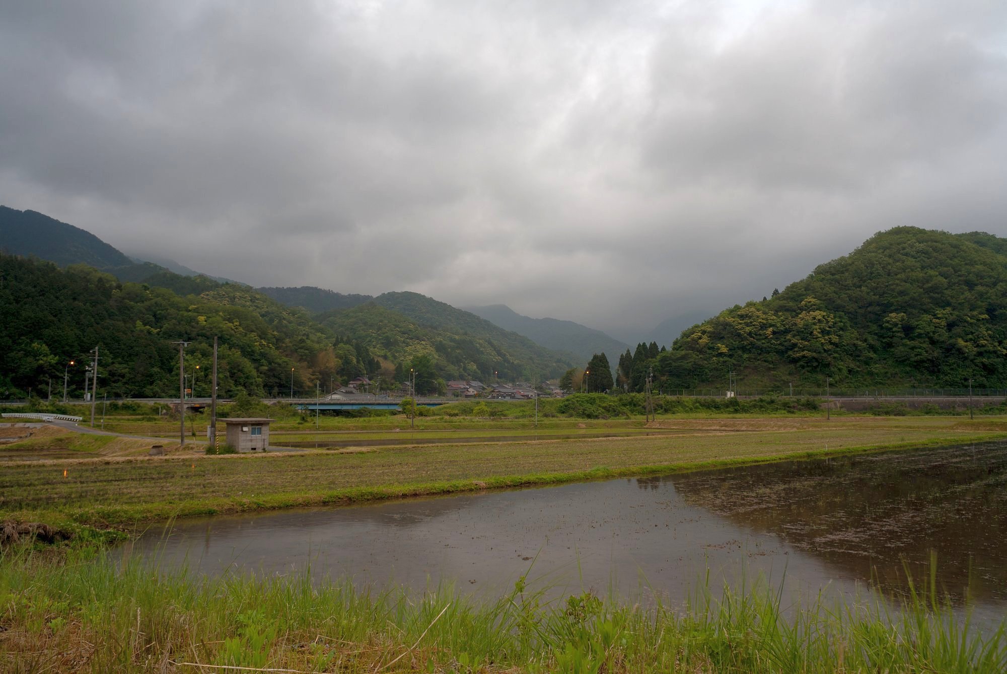 風雨の朝・・。