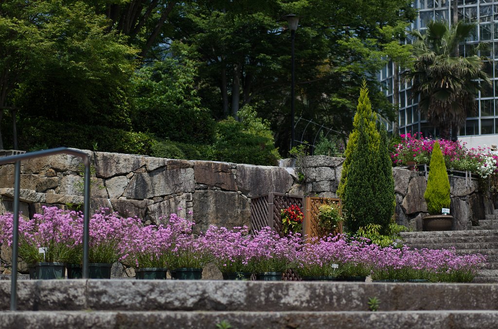 植物園