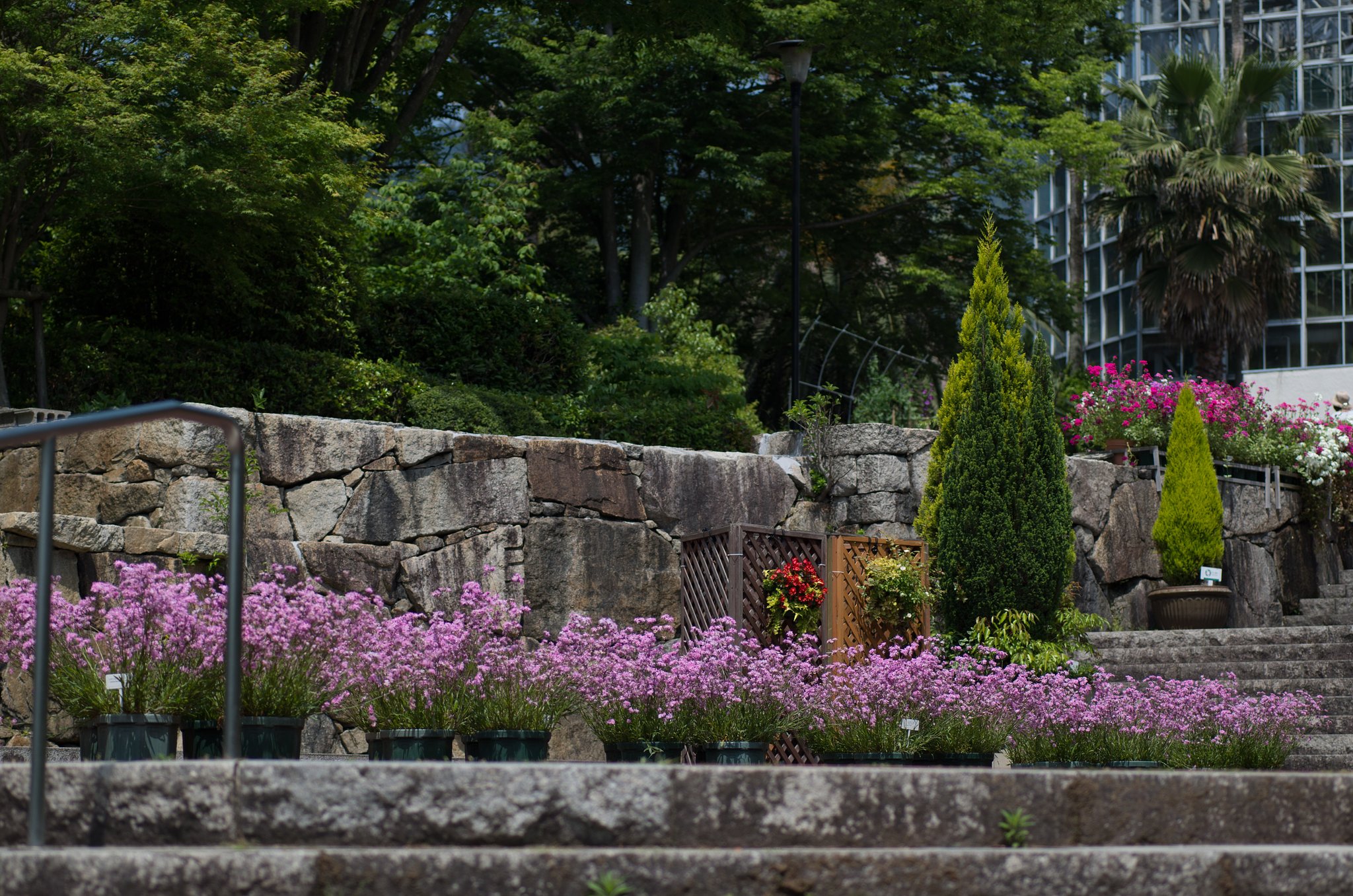 植物園